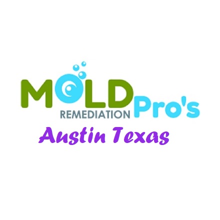 Mold Remediation Pros Austin Texas