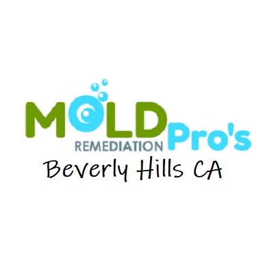 Mold Remediation Beverly Hills CA