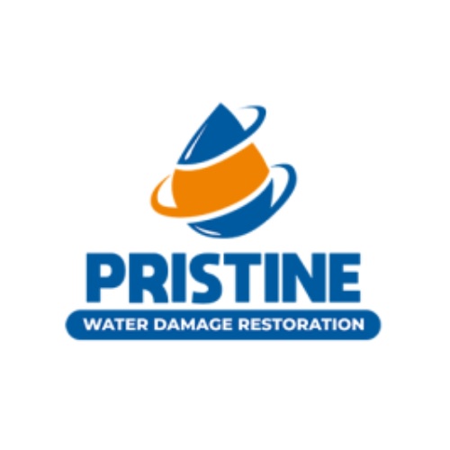 PristineWaterandMold