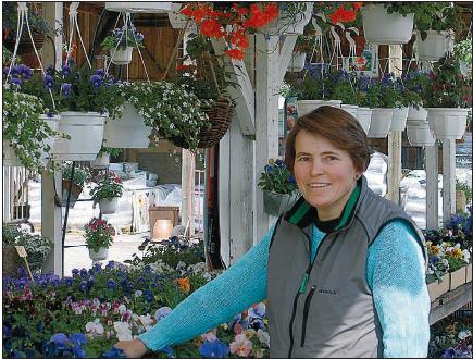 Tertun taimi ja kukka Oy