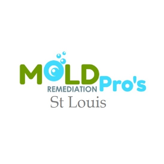 Mold Remediation Professionals St Louis