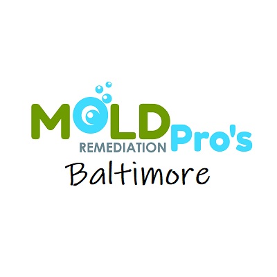 Mold Remediation Pros Baltimore