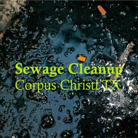 Sewage Cleanup Corpus Christi