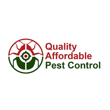 Pest Control in Toronto, ON