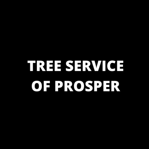 Tree Service Prosper