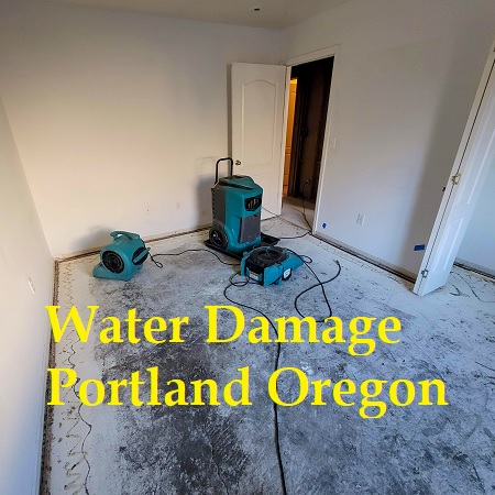 Water Damage Portland Oregon