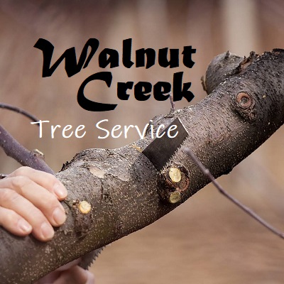 Walnut Creek Tree Service