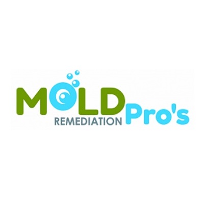 Mold Remediation Pros Brainerd Minnesota