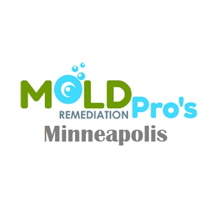 Mold Remediation Pros Minneapolis